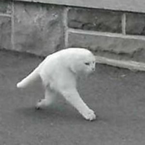 Meet your Posher, Tim